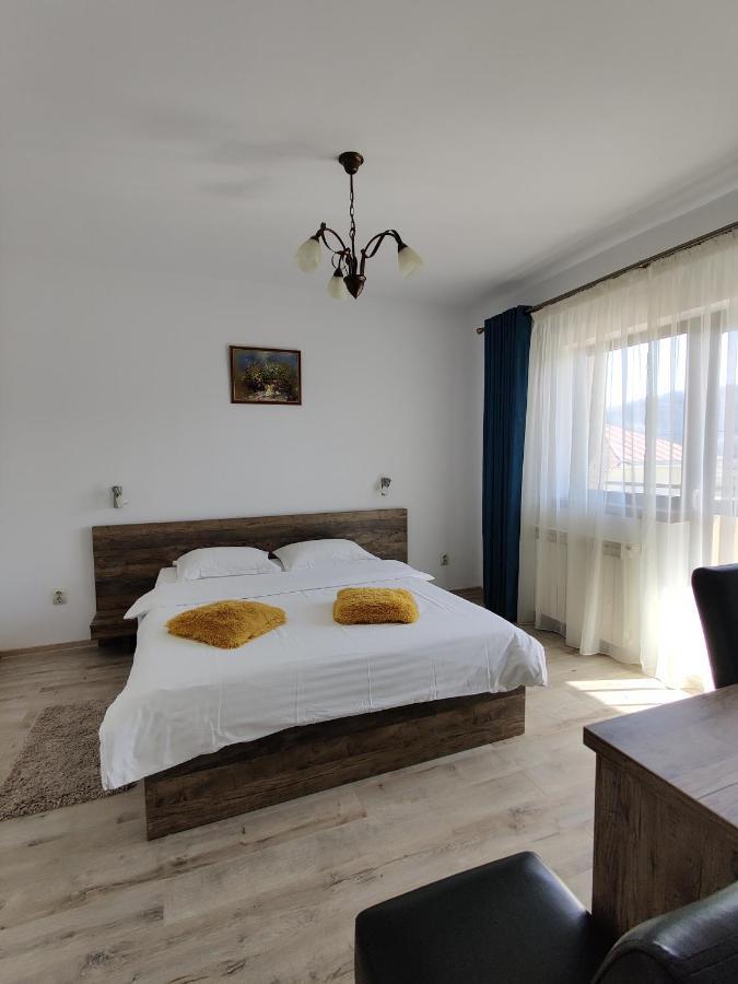 Pensiunea Roua Guest house