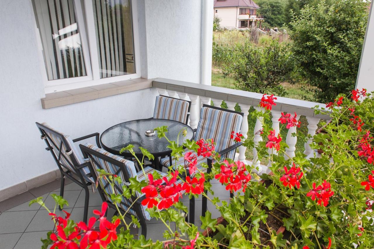 Guest house Pensiunea Roua 3*